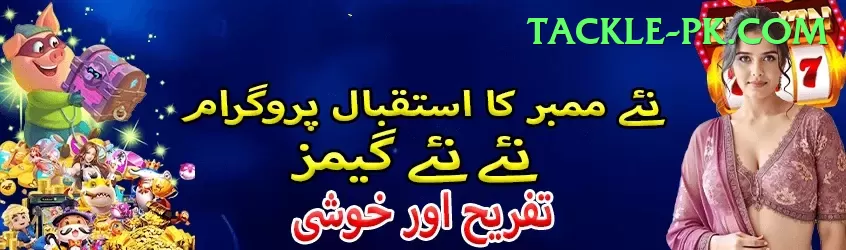 3 Card Fly Game Supreme Pakistan Screenshot 1